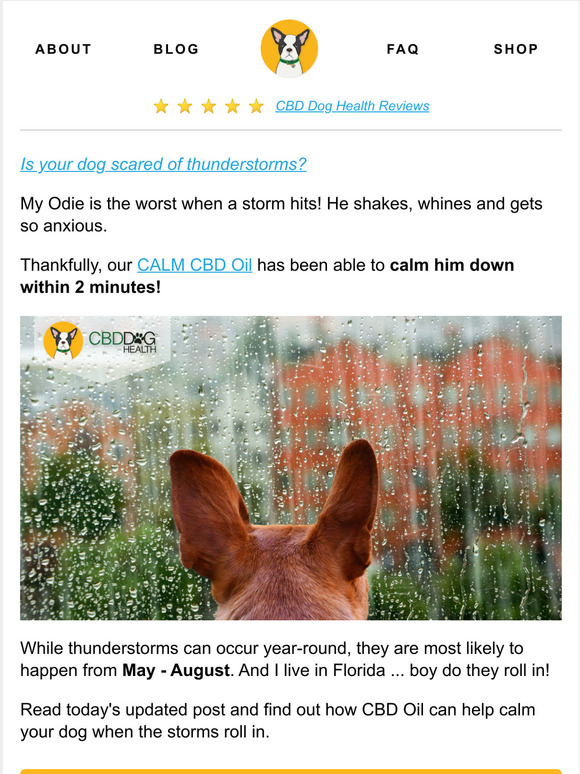 CBD Dog Health Is your dog scared of thunderstorms? Milled