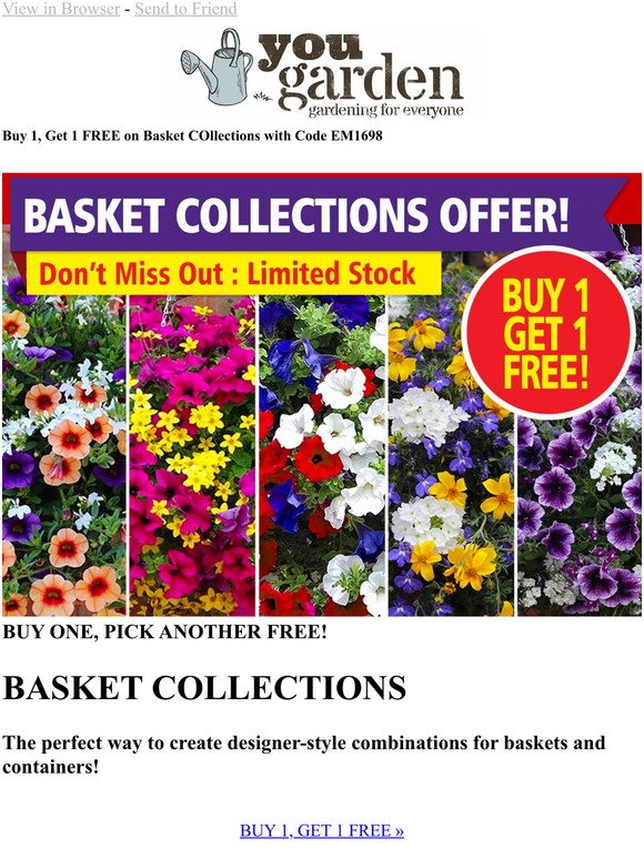 BASKET COLLECTIONS *Buy 1, Get 1 FREE* TODAY!