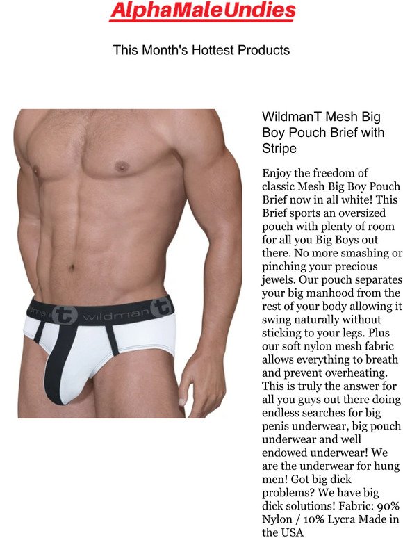 Alphamaleundies: We think you'll love: WildmanT Mesh Big Boy Pouch Brief  with Stripe and more