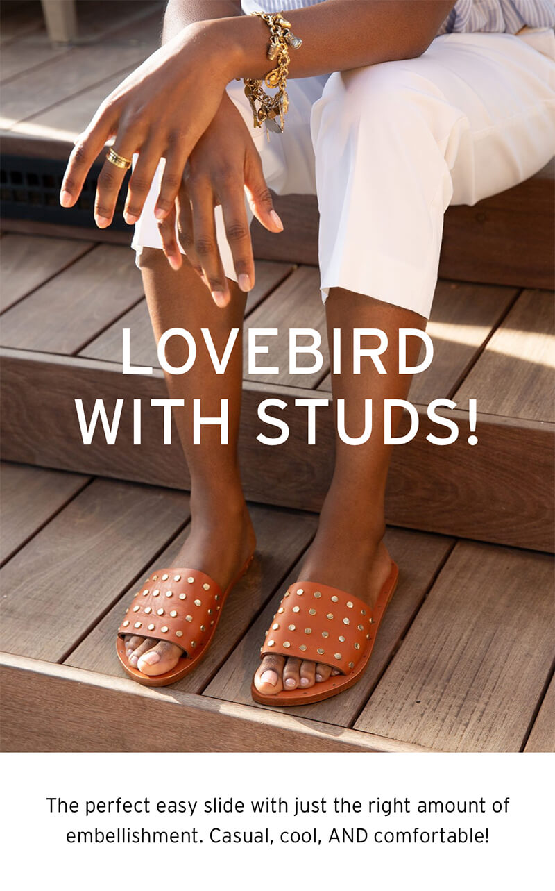 Beek discount lovebird stud