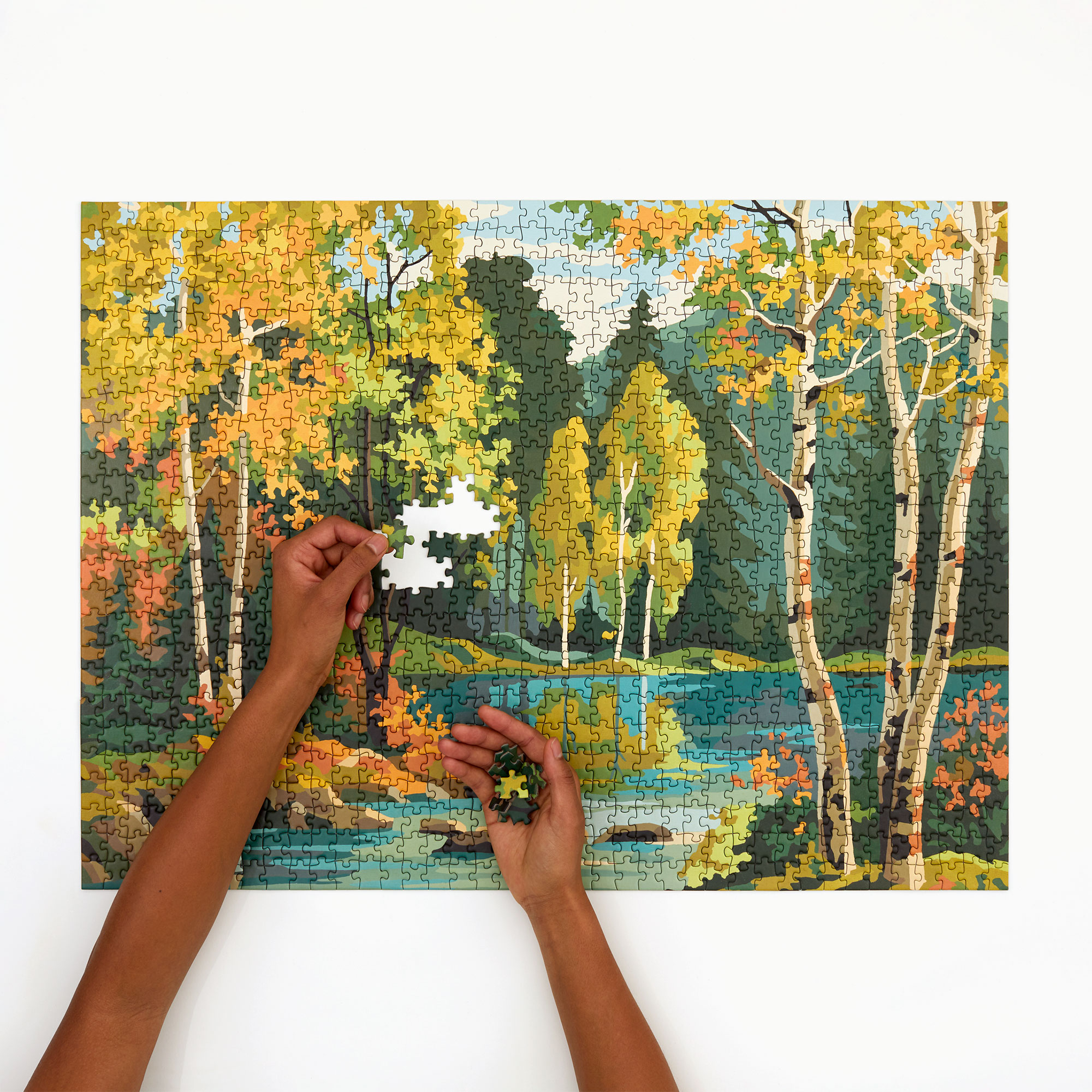 Four Point Puzzles Our Paint by Numbers Puzzle Collection is Here