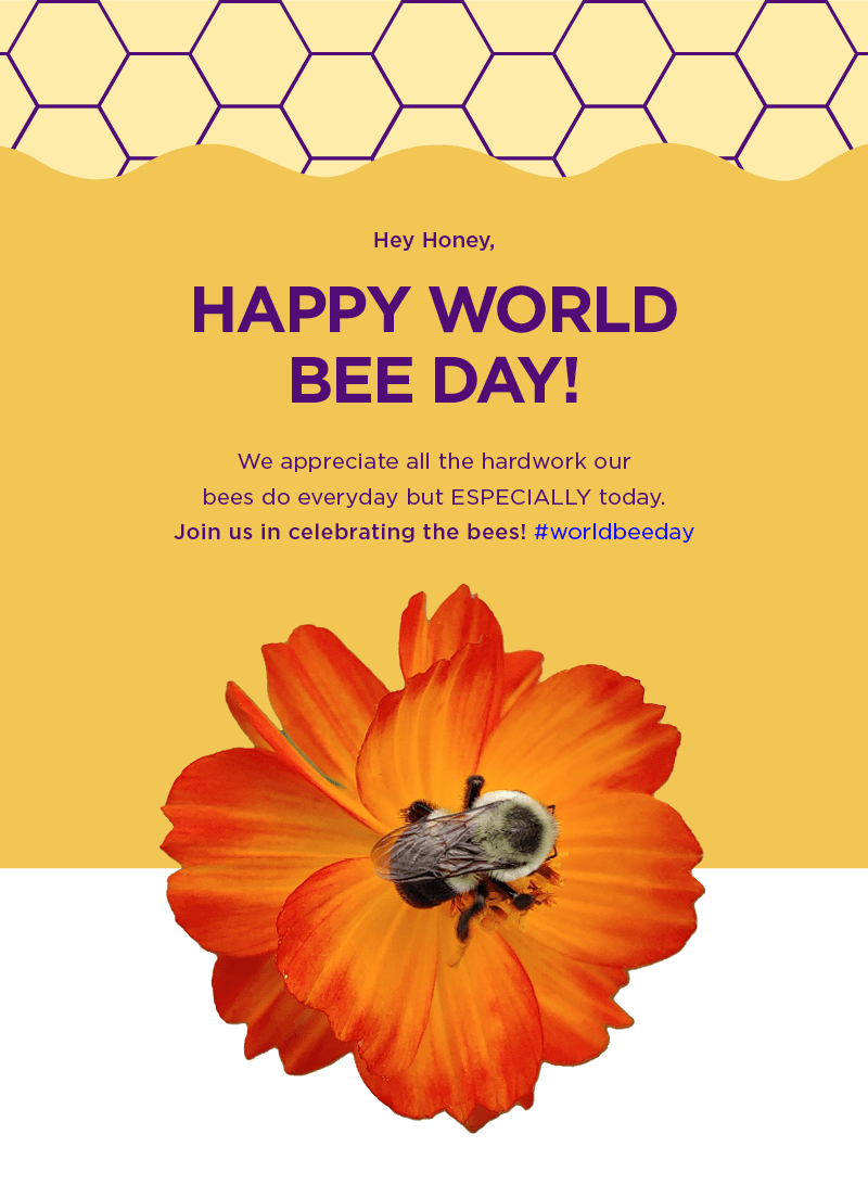 Hey Honey Happy World Bee Day Milled