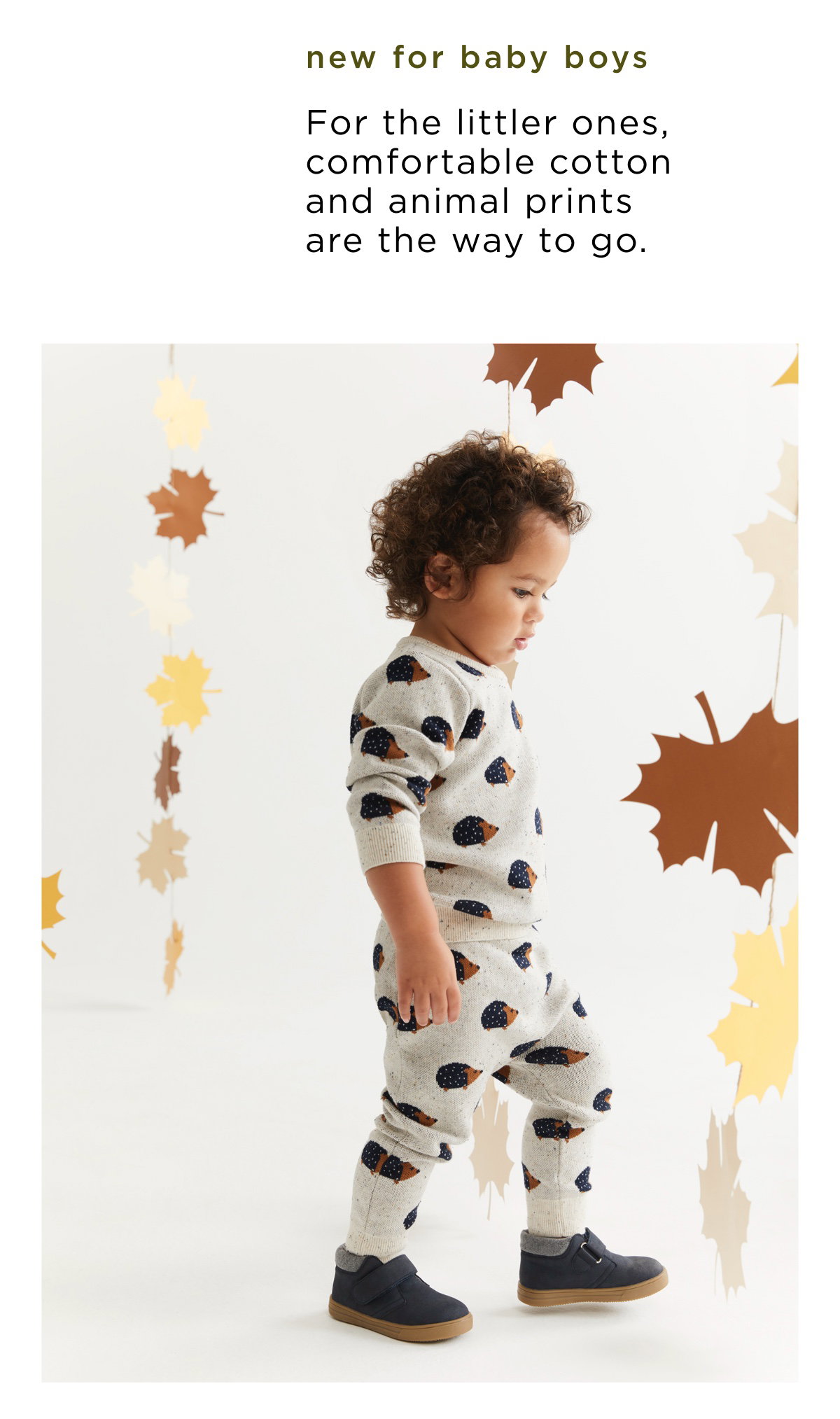 New arrivals for baby boy