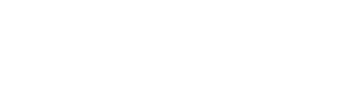 Sass & Belle Trade logo