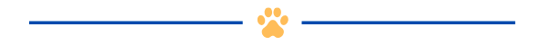 AlphaPaw