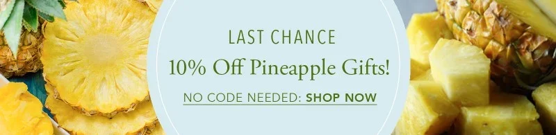 Last Chance for 10% Off Pineapple Gifts