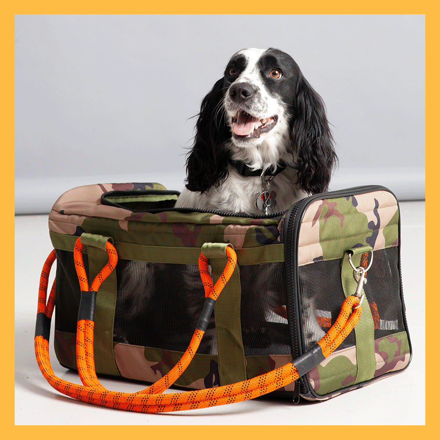 ROVERLUND Out-Of-Office Pet Carrier Desert Camo (w/ Blue) / Large