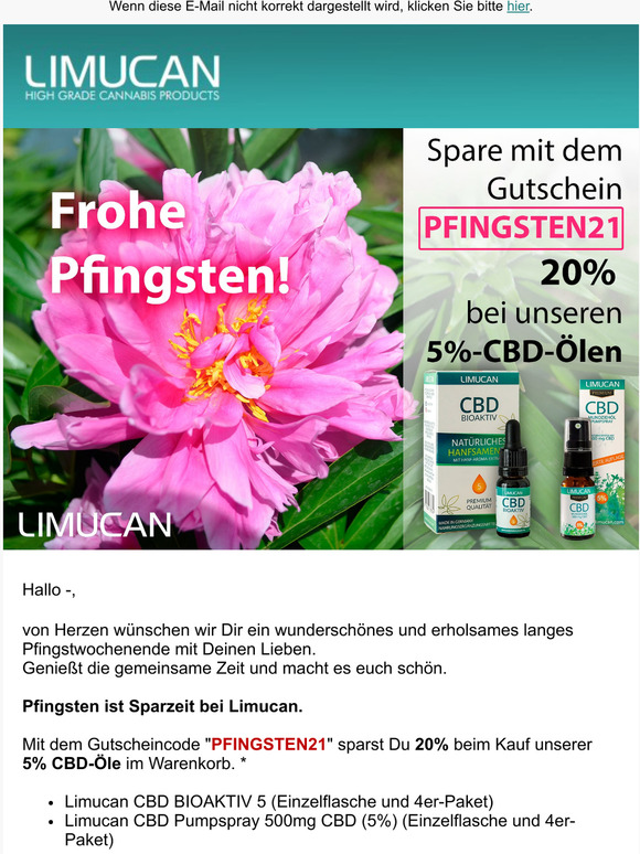 Zu Pfingsten 20% mit Gutschein sparen