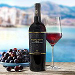 Primitivo Salento IGP - Testsieger Rotwein