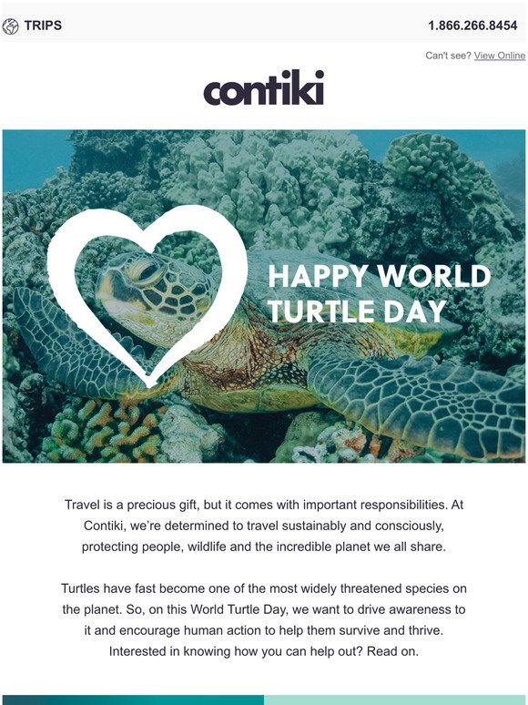 Contiki Happy World Turtle Day Milled