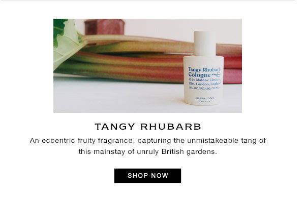 Tangy Rhubarb - SHOP NOW