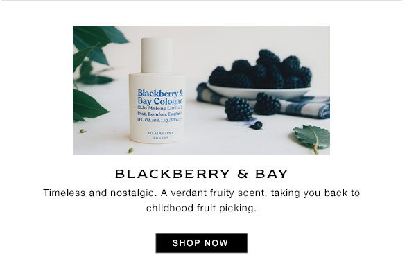Blackberry & Bay - SHOP NOW