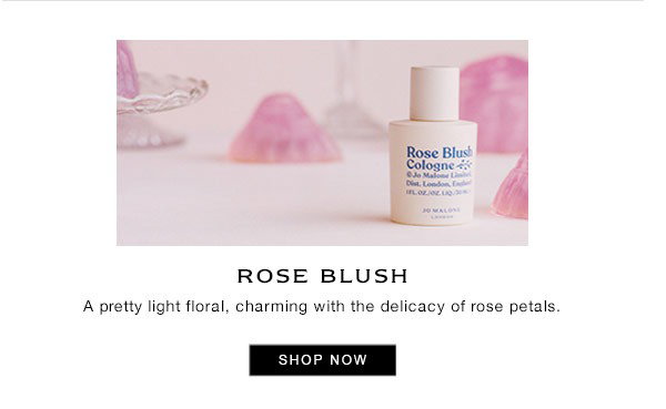 Rose Blush - SHOP NOW