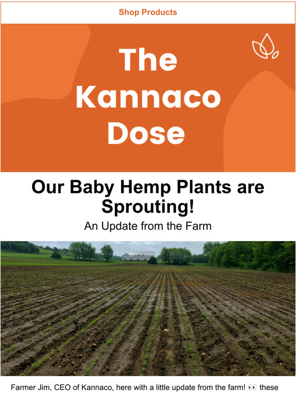An Update from the Farm - Seeds are Sprouting!