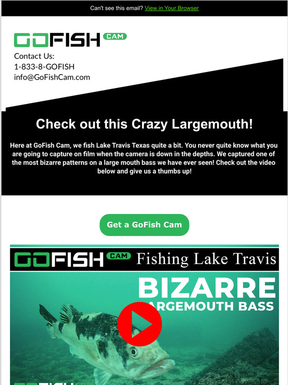 Very Bizarre Largemouth Captured on Camera