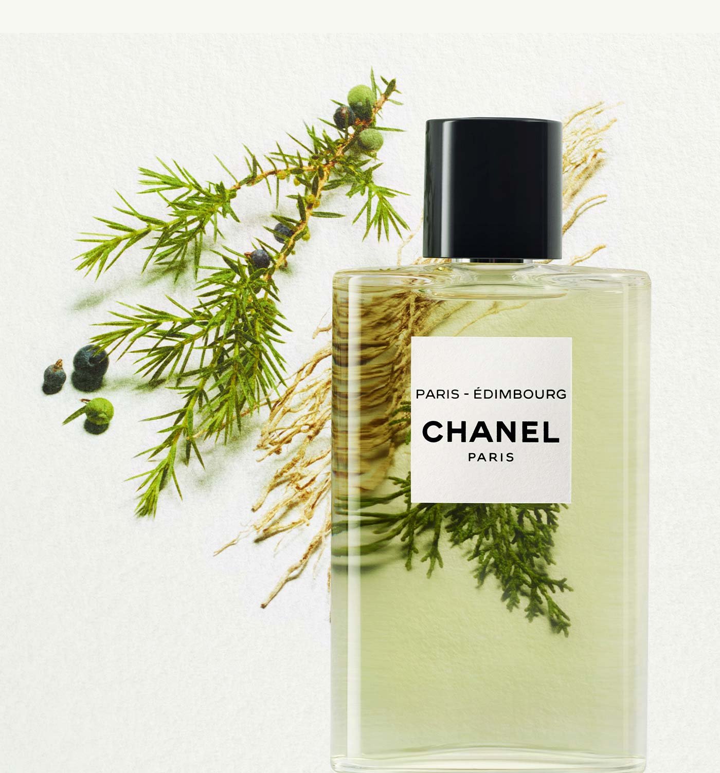 chanel perfume summer