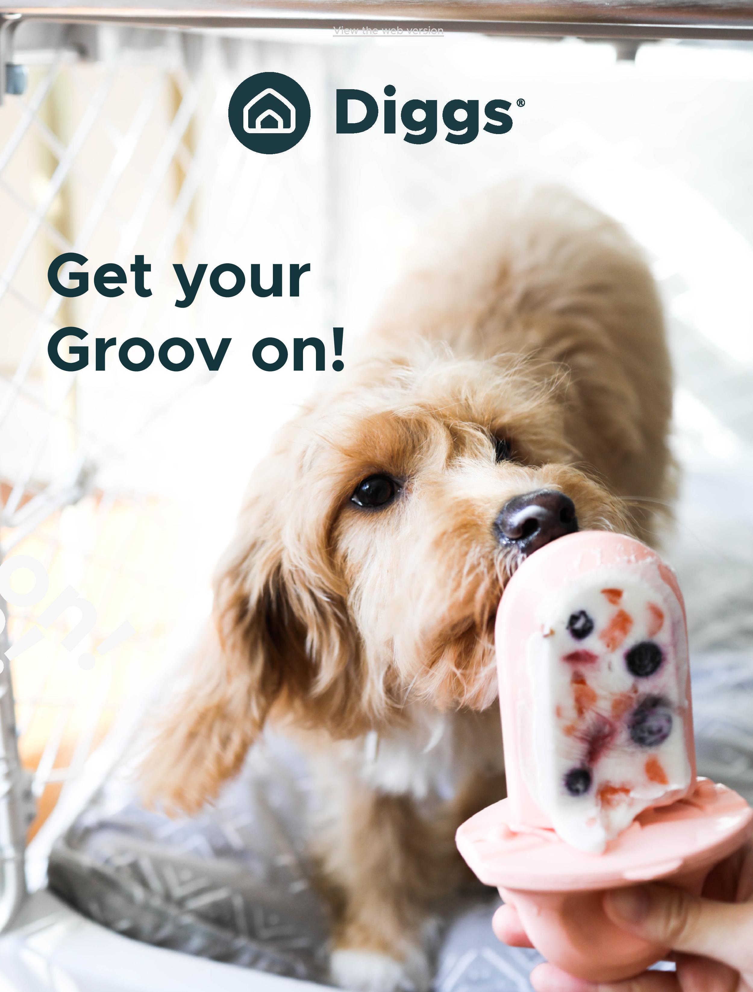 groov dog toy