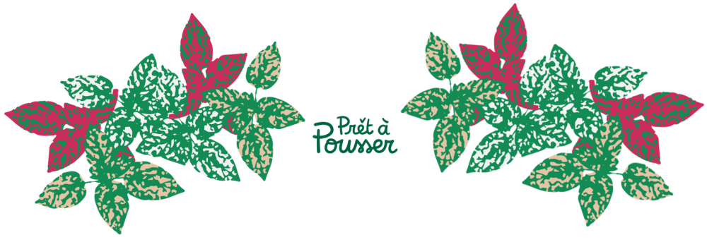 header pret a pousser