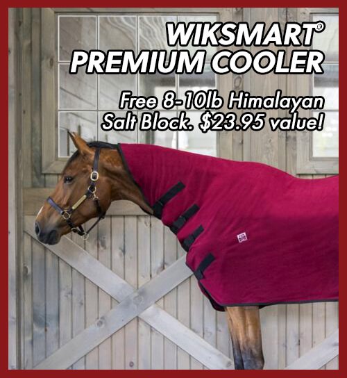 WikSmart® Premium Cooler
