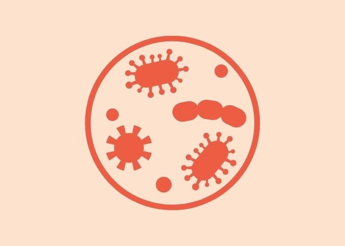 biofilm and recurrent utis
