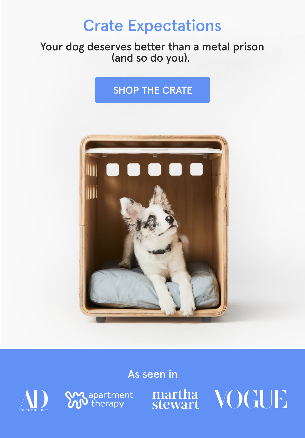 I Tried the Fable Pets Crate and It's a Dog-Parent Upgrade for My