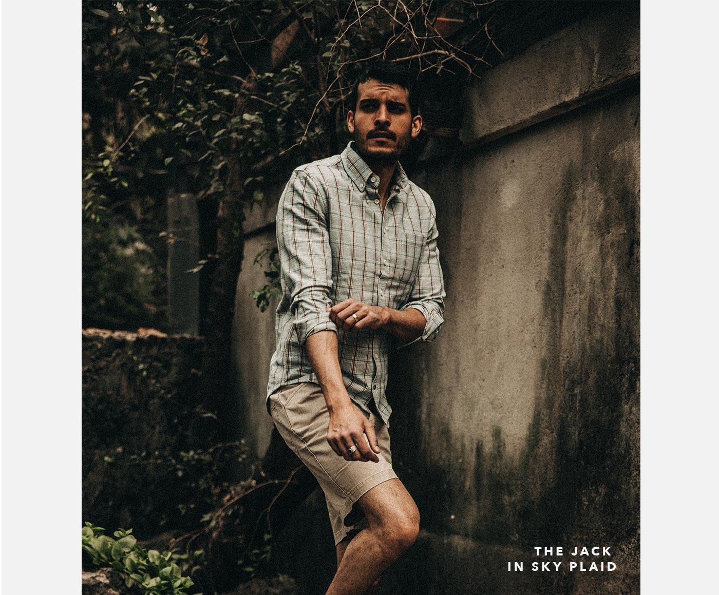 The Jack in Sky Plaid