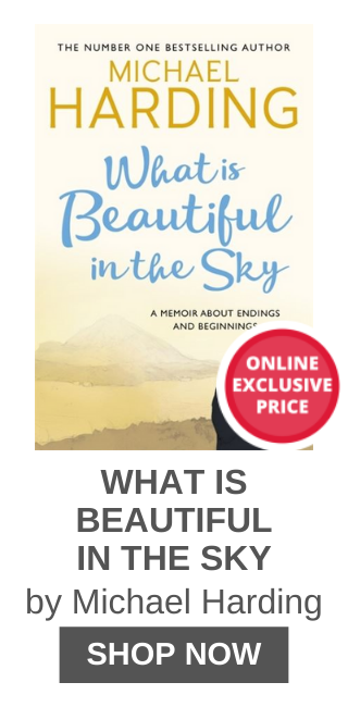 WHAT IS BEAUTIFUL IN THE SKY by Michael P. Harding
