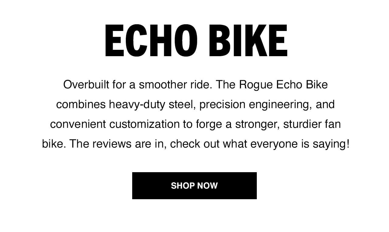 Rogue Fitness Rogue Echo Bike Overbuilt for a Smoother Ride Milled