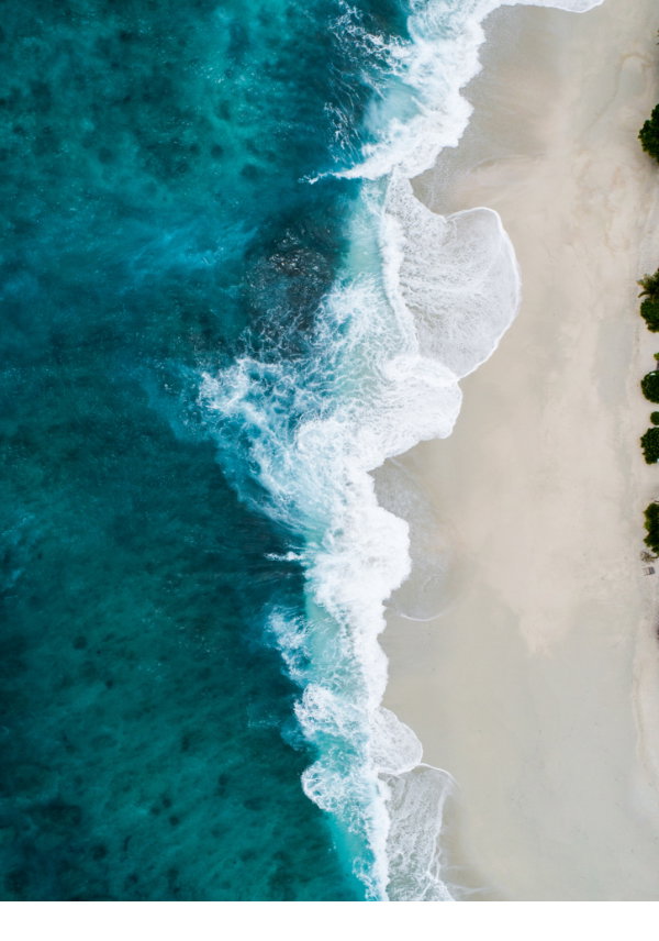 shifaaz-shamoon-unsplash