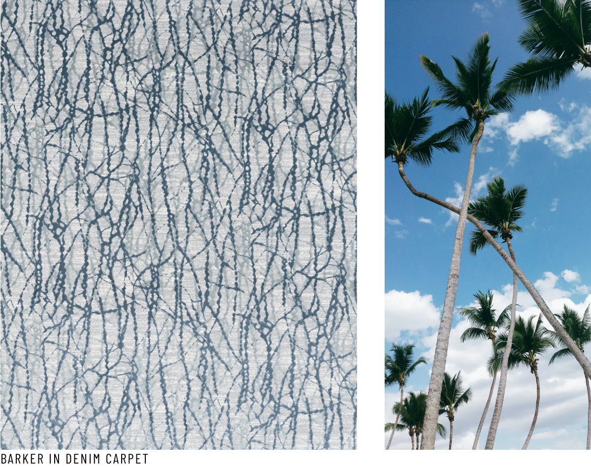 Barker - honey-yanibel-minaya-cruz-unsplash
