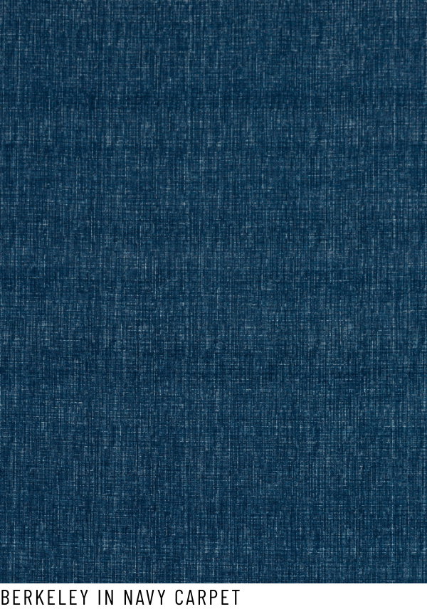Berkeley in Navy Carpet
