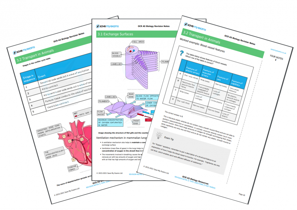 Save My Exams: NEW! Biology And Physics Revision Notes | Milled