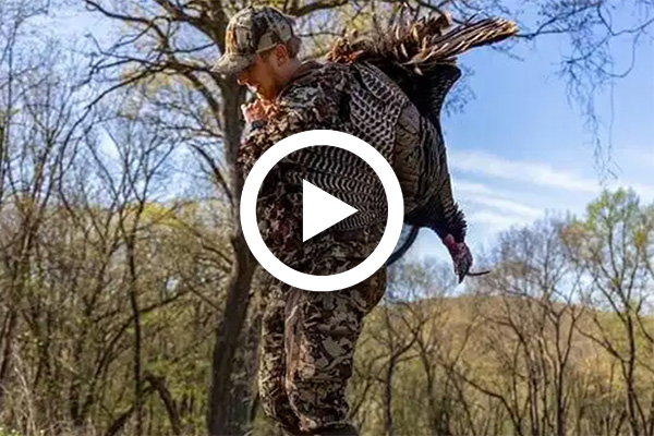 AT THE RANCH – TURKEY: HOW TO HUNT TURKEYS IN THE TIMBER