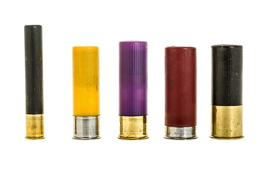 Shotgun Shells