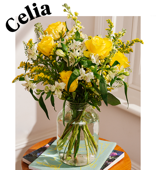 
Celia
