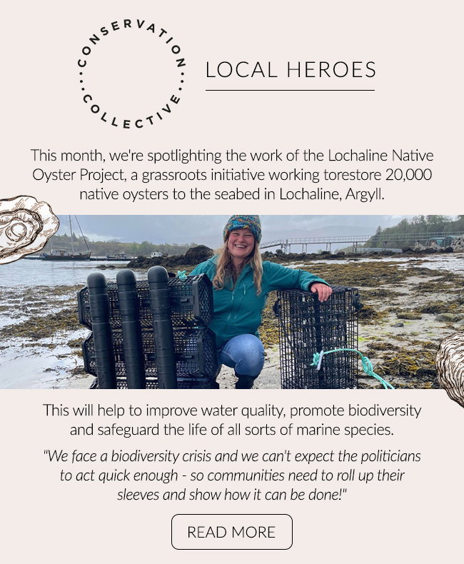  Local Heroes