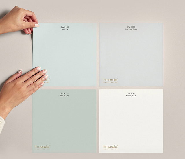 Image of Peel and Stick samples on a wall.