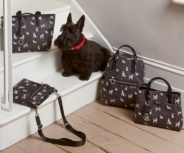 dog print purses