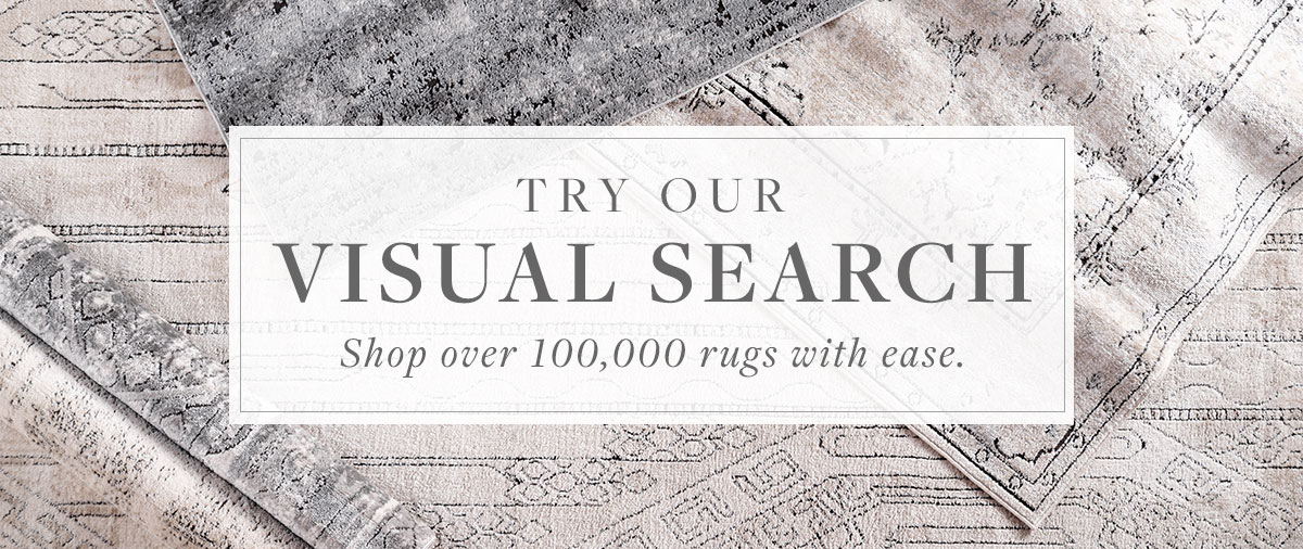 Visual Search