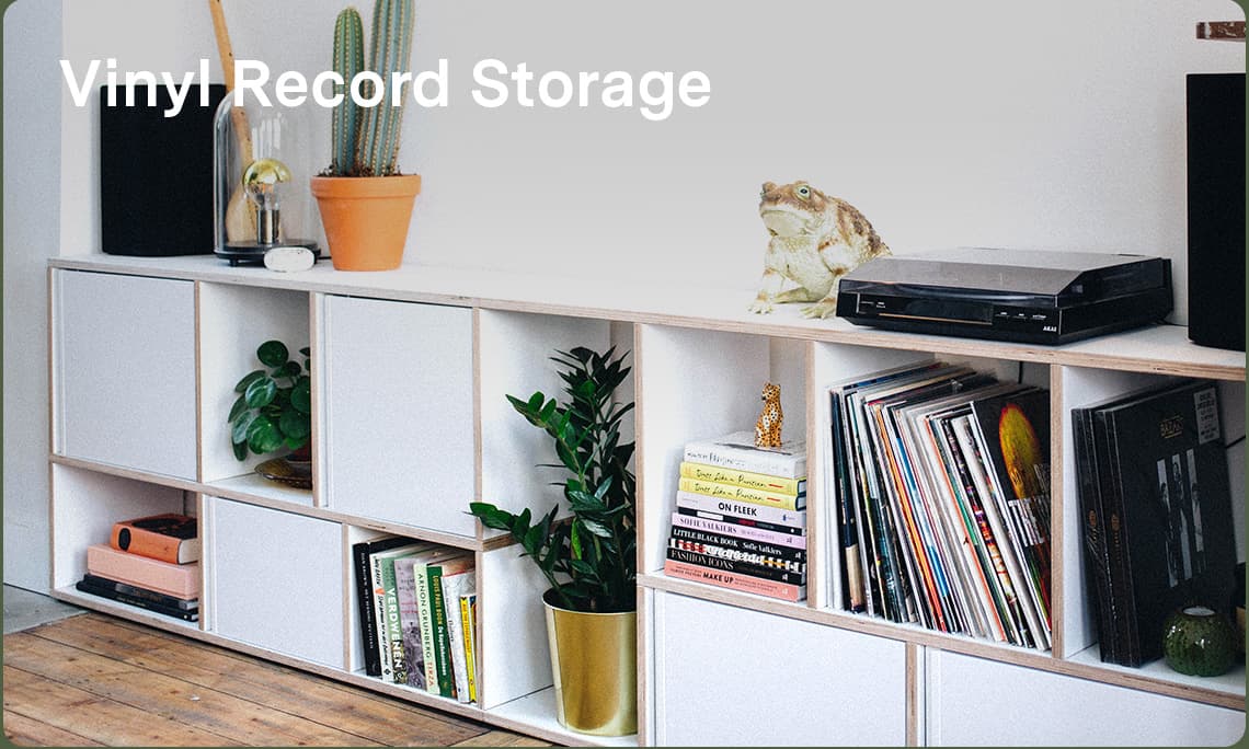 Vinyl Record Storage