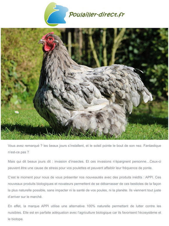 poulailler direct: Printemps : nos astuces et produits de soin 