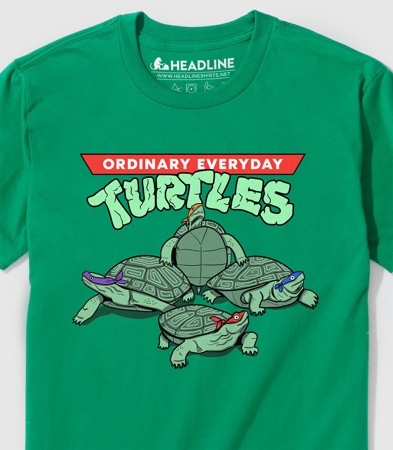 Ordinary Everyday Turtles Men's T-Shirt | Green | XL | Headline Shirts