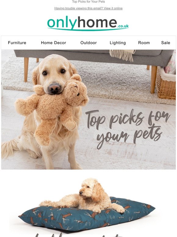 Top Picks for Your Pets