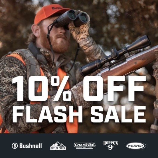 10% Off Flash Sale