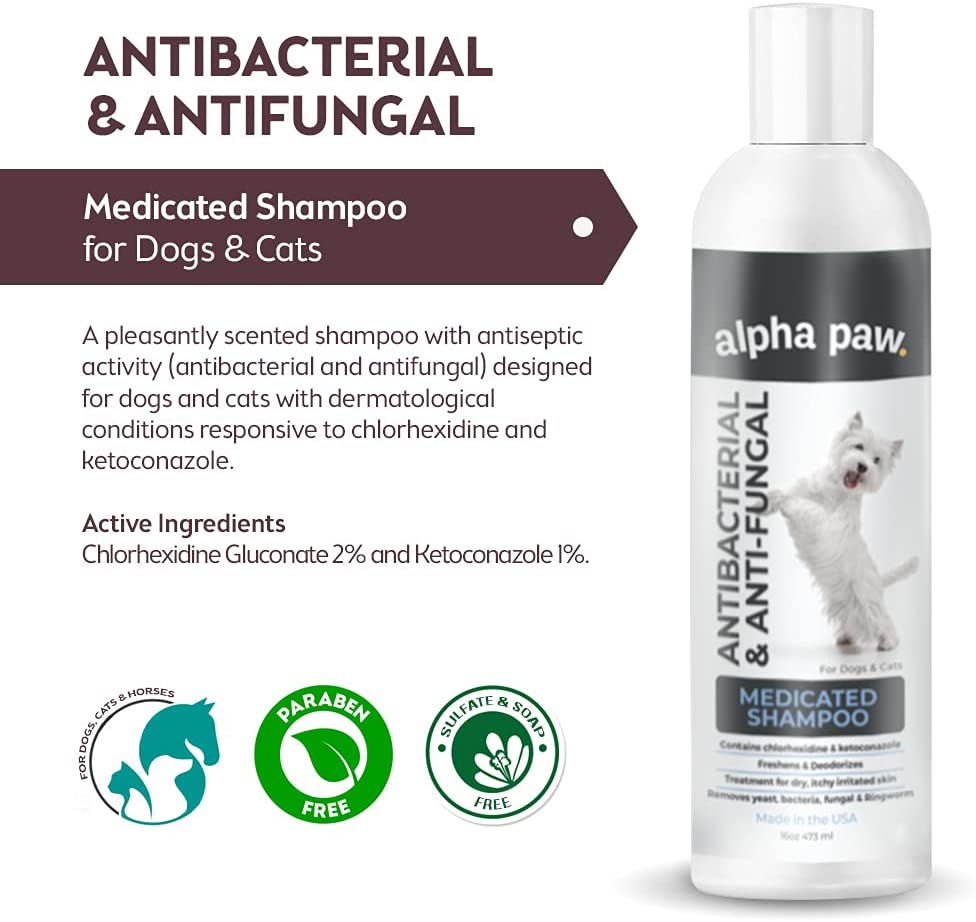 how do you make antifungal shampoo for dogs