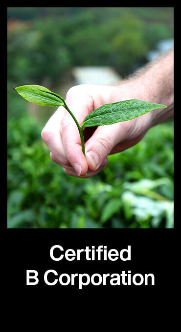 Certified B Corporation