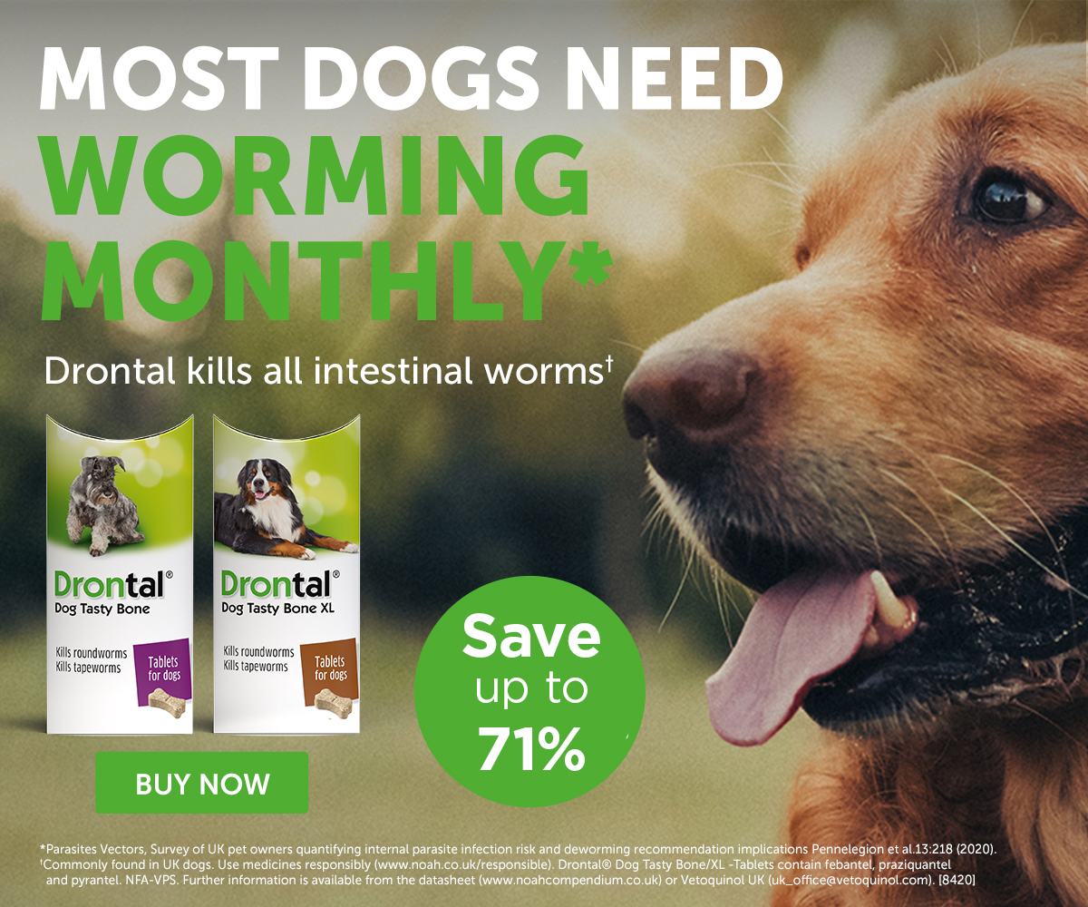 Monster Pet Supplies Save up to 71 on Drontal Worming Tablets