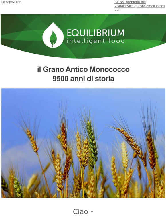 Il grano antico monococco, 9500 anni di storia