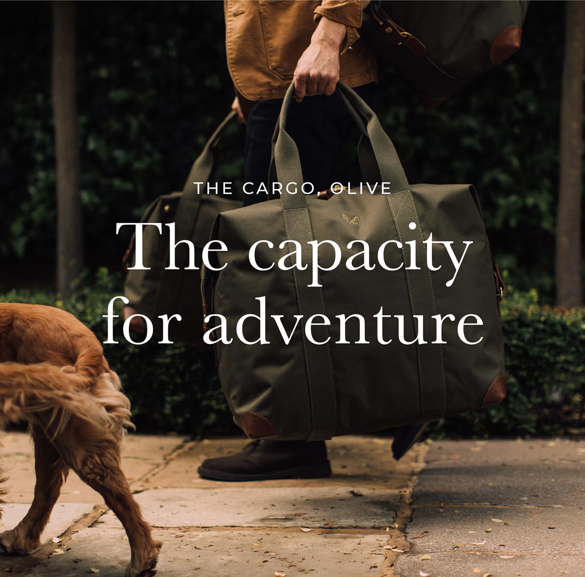 The Cargo, Olive — The Capacity for Adventure