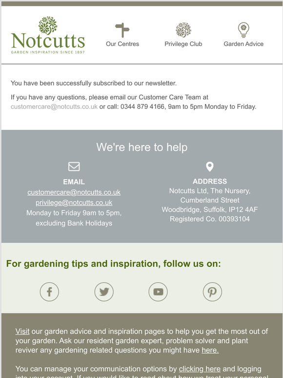 Notcutts newsletter subscription success